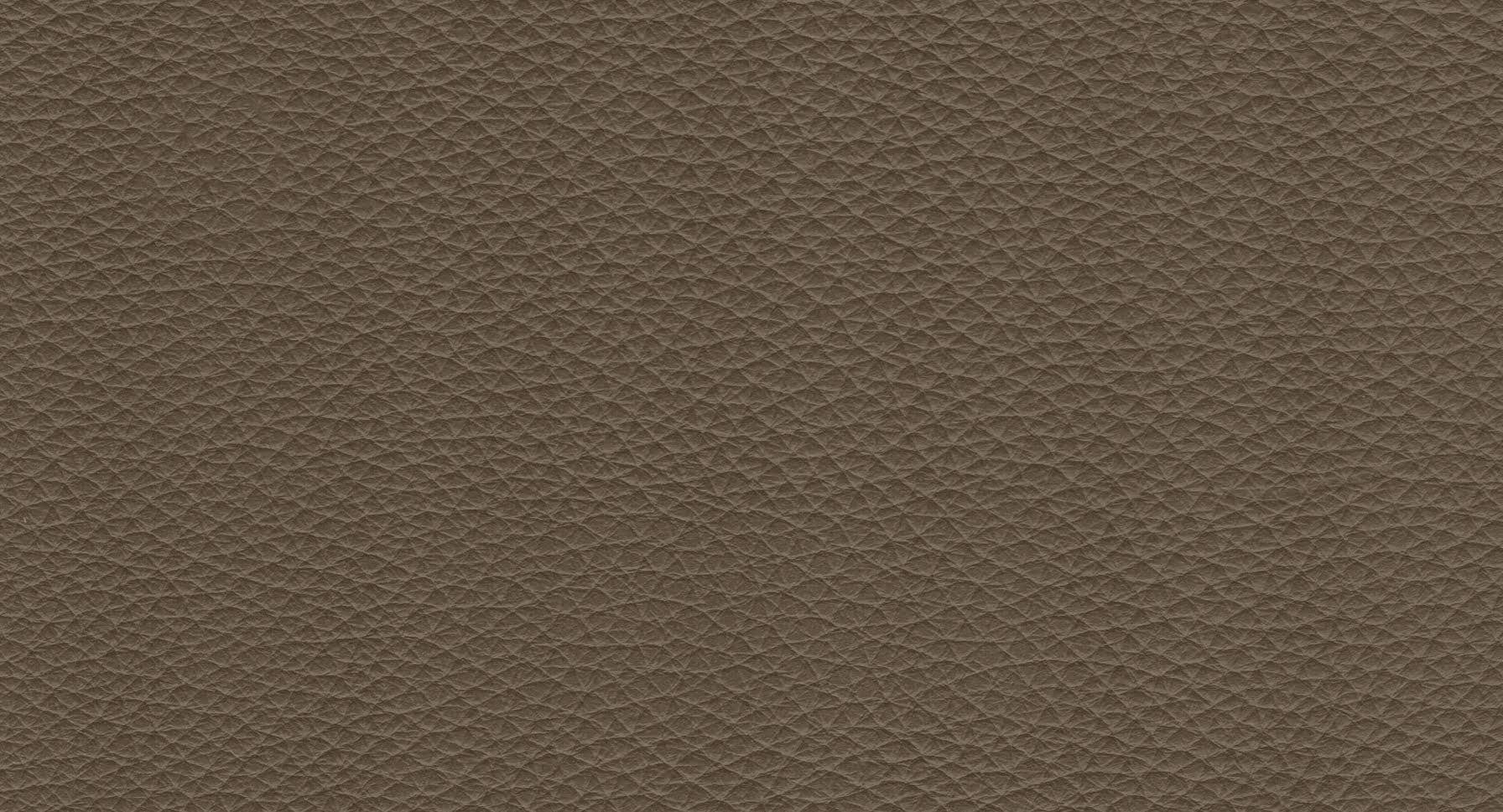 Pelle Plus • Arketipo
